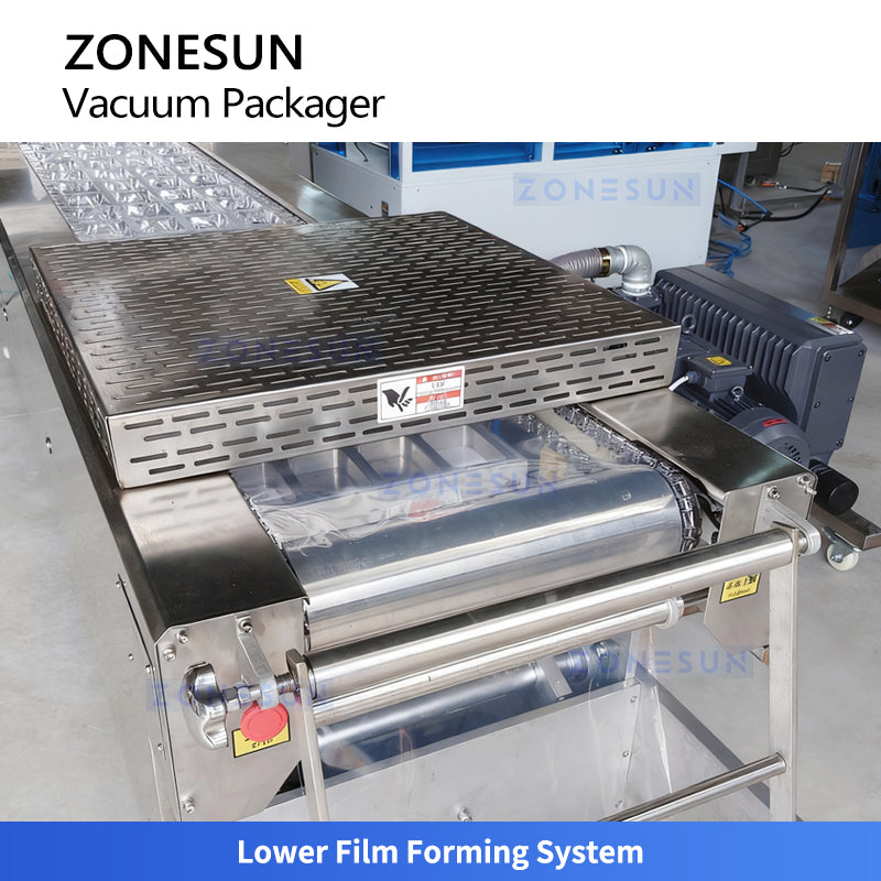 ZONESUN ZS-DLZ420 Automatic Vacuum Shrink Packaging Machine For Food