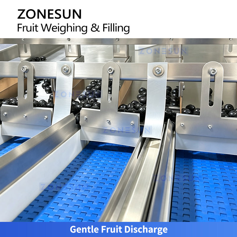 ZONESUN ZS-GWF15 Automatic Small Fruit Tray Filling and Lid Closing Line