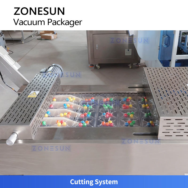 ZONESUN ZS-DLZ420 Automatic Vacuum Shrink Packaging Machine For Food