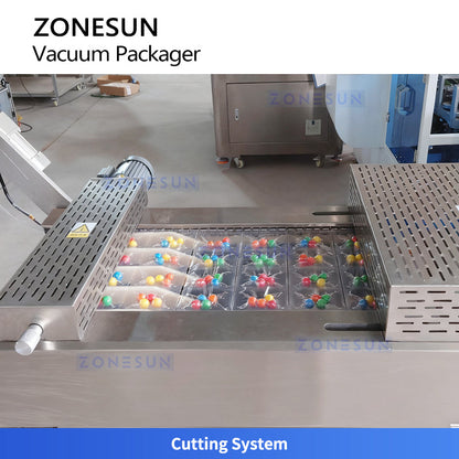 ZONESUN ZS-DLZ420 Automatic Vacuum Shrink Packaging Machine For Food