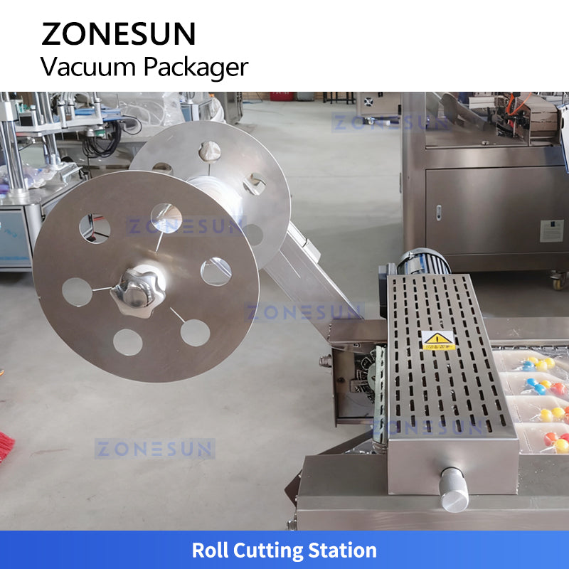 ZONESUN ZS-DLZ420 Automatic Vacuum Shrink Packaging Machine For Food