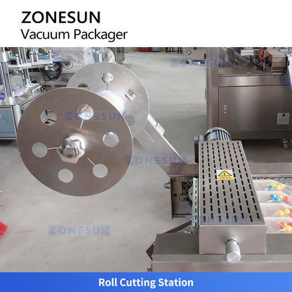 ZONESUN ZS-DLZ420 Automatic Vacuum Shrink Packaging Machine For Food